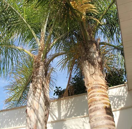 Oda ve Kahvaltı Valentino 3*