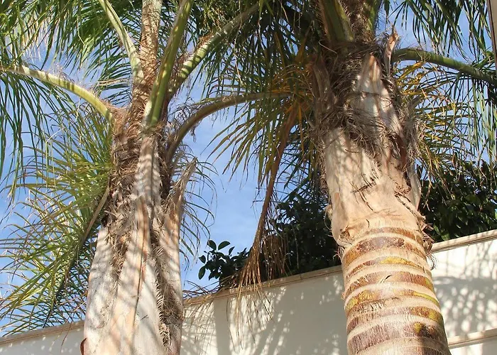 Valentino Oda ve Kahvaltı 3*