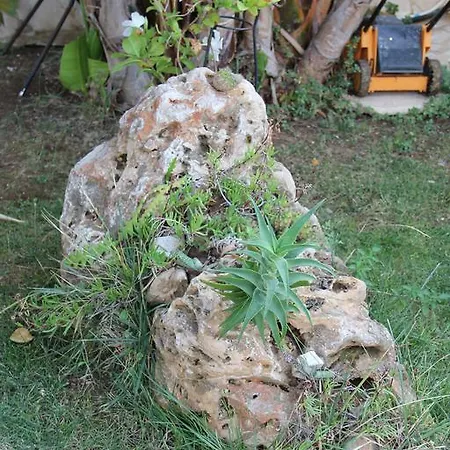 Nocleg ze śniadaniem Valentino Bari