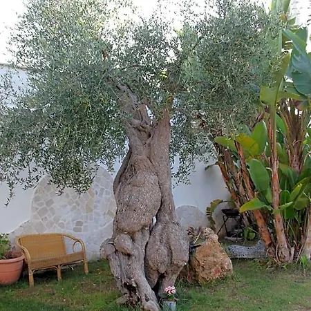 Valentino Bed & Breakfast Bari