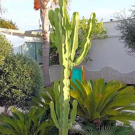 Bed & Breakfast Valentino Bari
