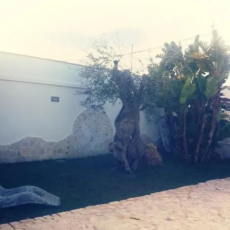 Valentino 3*