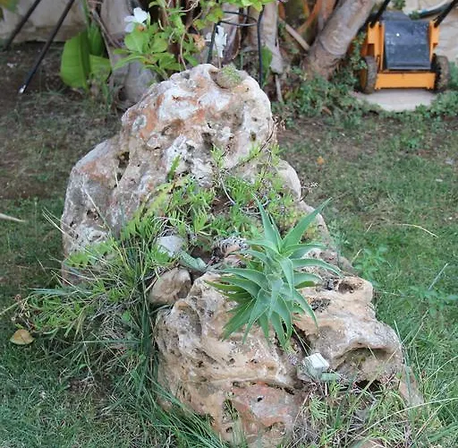 ベッド・アンド・ブレックファスト Valentino バーリ