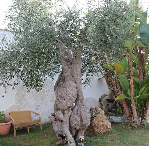 Couette-café Valentino 3*